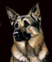 southwest gsd rescue